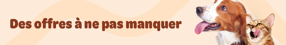 Les offres à ne pas manquer