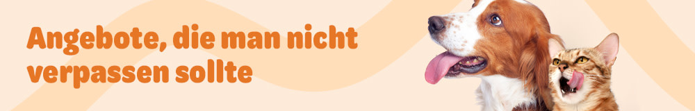 Angebote, die man nicht verpassen sollte