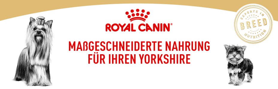 Schon die Royal Canin Yorkshire Terrier Box erhalten?