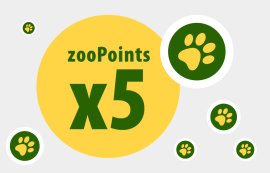 zooPoints x 5