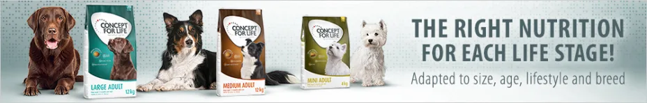 Discover Concept for Life Dry Dog Food