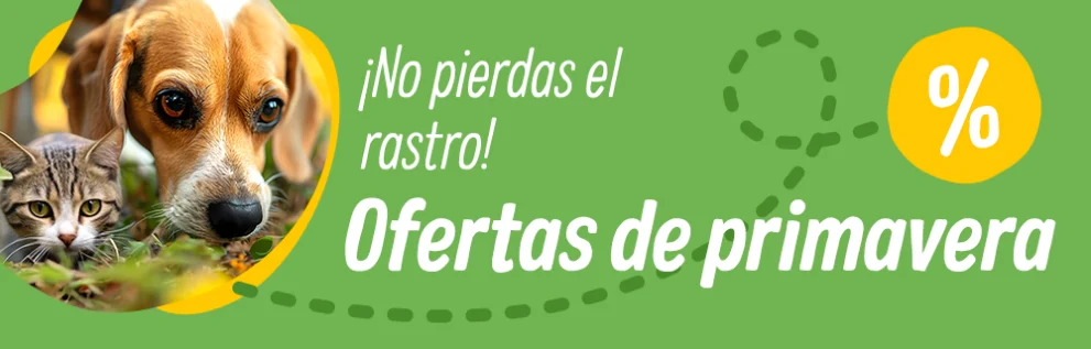 Llegan las ofertas de primavera