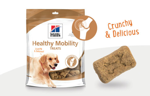 hill's mobility snacks para cães