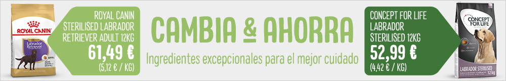 Concept for Life Sterilised Labrador pienso para perros