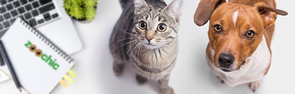 Интернет-сообщество