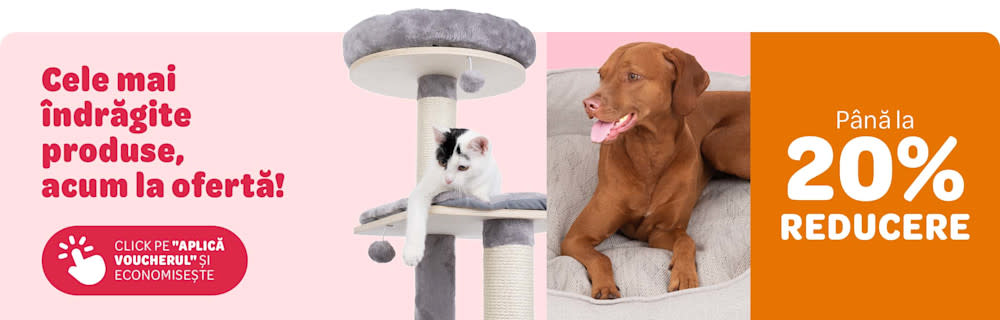 Cele mai îndrăgite produse, acum la ofertă. Până la 20% reducere. Click pe "Aplică voucherul și economisește."