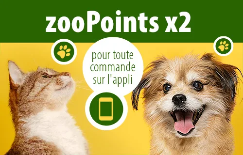 App campaign zooPoints x2