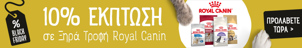 10% Έκπτωση σε Ξηρά Τροφή Royal Canin!