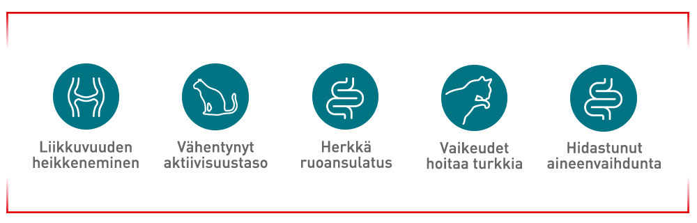 Merkkejä, joihin kannattaa kiinnittää huomiota