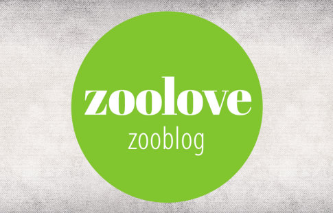 zooblog