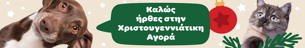 Καλώς ήρθες στην Χριστουγεννιάτικη Αγορά!