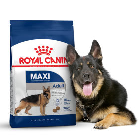 Royal Canin pour chien Adulte