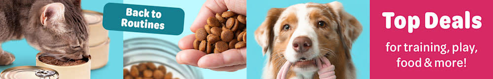 Back to routines - Top Deals for training, play, food & more! 