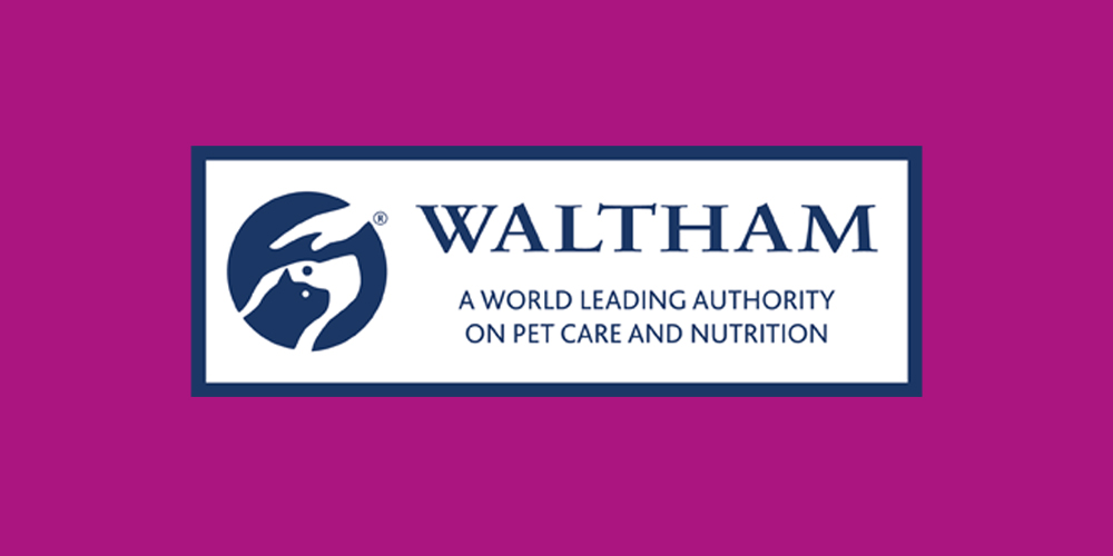 Whiskas Cat Food zooplus UK