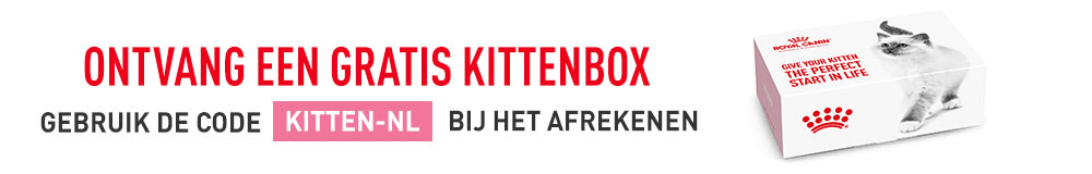 Kittenbox