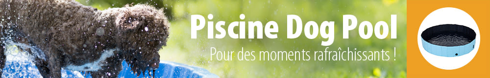 Piscine Dog Pool pour chien sur votre animalerie en ligne zooplus. 