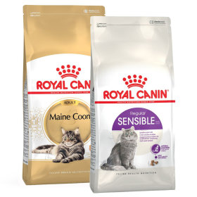 Royal Canin Trockenfutter für Katzen