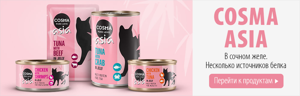 Cosma Asia влажный корм для кошек
