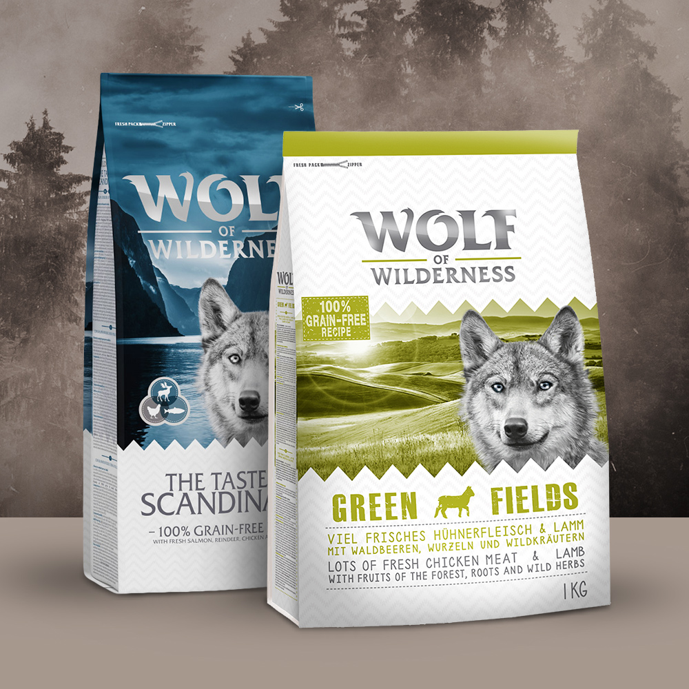 wolf of the wilderness dry dog food