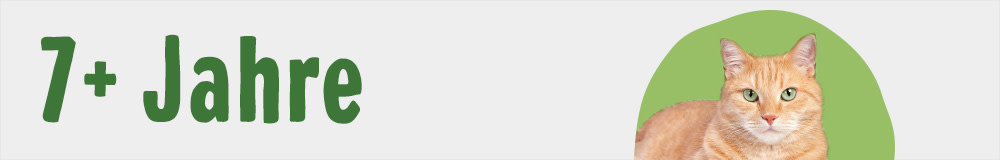 Seniorkatzen ab 7 Jahren