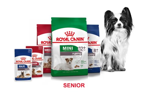 Royal Canin Senior perros
