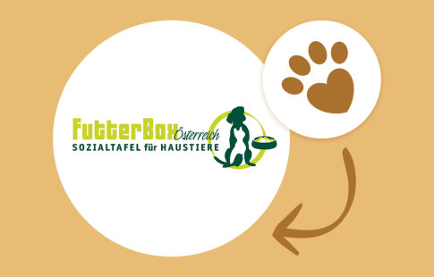 Futterbox - Sozialtafel für Haustiere