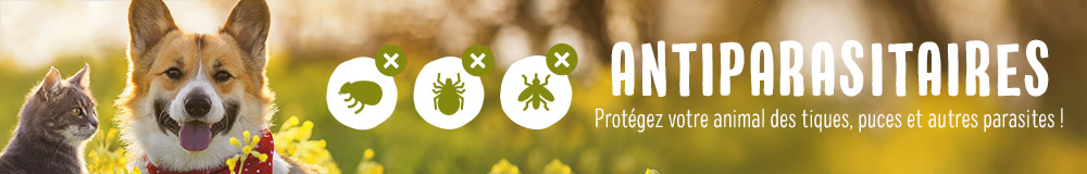 Antiparasitaires 