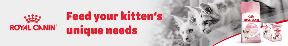 L4 Cat Milk PG