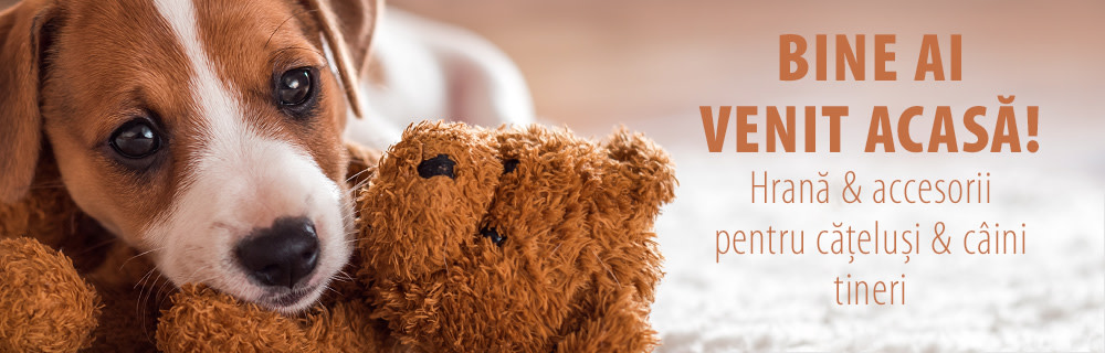 Hrană și accesorii pentru căței & câini tineri