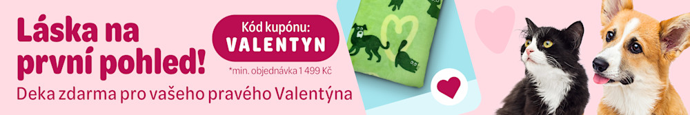 Láska na první pohled! Deka zdarma pro vašeho pravého Valentýna. Kód kupónu: VALENTYN