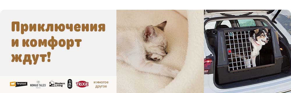 Приключения и комфорт ждут
