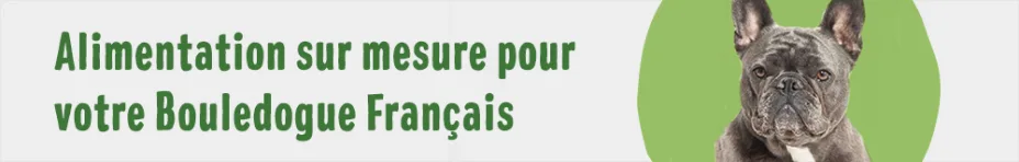 Alimentation sur mesure pour votre Bouledogue Français