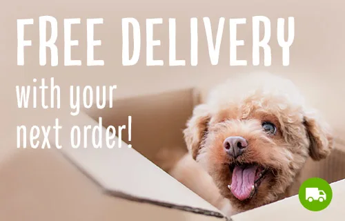 Free Delivery on all orders!