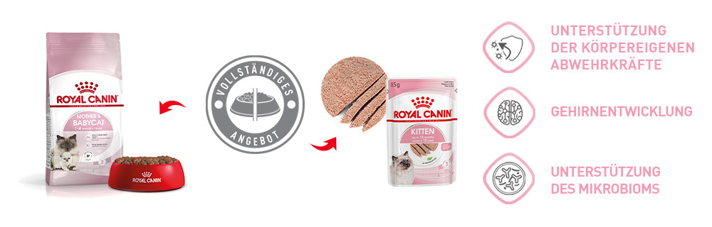 Royal Canin Kitten Mischfütterung