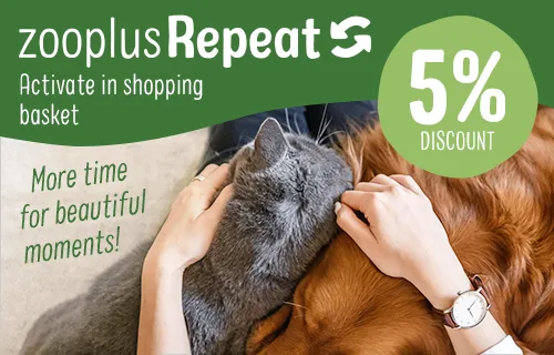  Best Pet Products Online Retailer – Soft Pet Paws