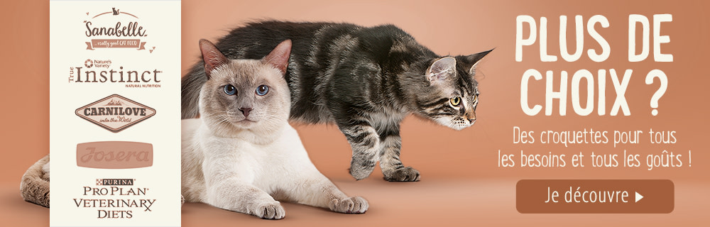 Découvrez plus de choix de marques de croquettes !