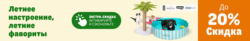 Летние хиты в zoochic