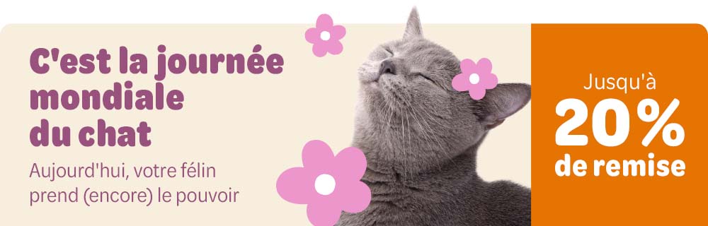 Journée internationale du chat