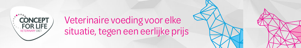 NL Concept of life Middle banner