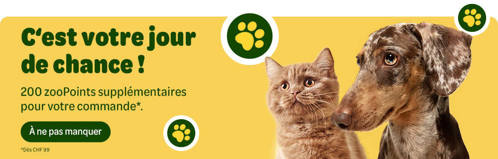 C'est votre jour de chance! 200 zoopoints supplémentaires pour votre commande* À ne pas manquer. *Dès CHF 99