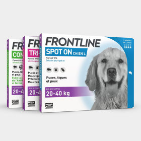 Antiparasitaires FRONTLINE pour chien