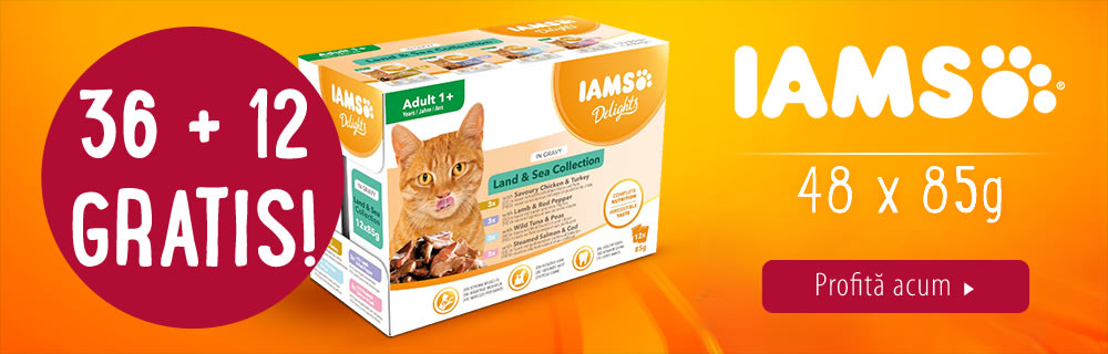 36 + 12 gratis! 48 x 85 g IAMS Delights pliculețe