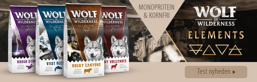 Wolf of Wilderness Elements
