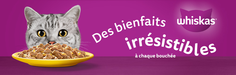 Découvrez la philosophie de Whiskas