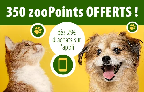 350 zooPoints offerts dès 29 € d'achats !