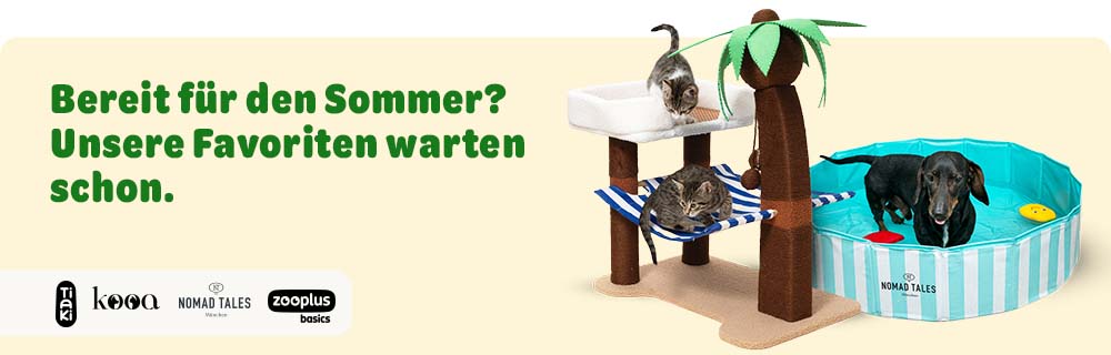 Sommer-Accessoires für dein Haustier: bis zu 15 % Rabatt
