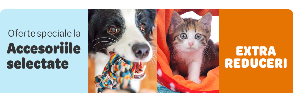 Oferte speciale la accesoriile selectate