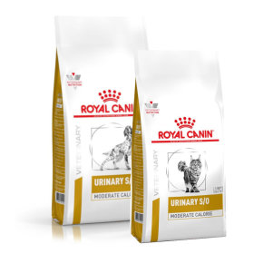 Croquettes, boîtes et sachets Royal Canin Veterinary Diet - Urinary pour chien et chat