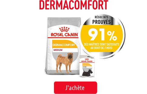Royal Canin Canine Care Subpage - Grid Dermacomfort Care Image