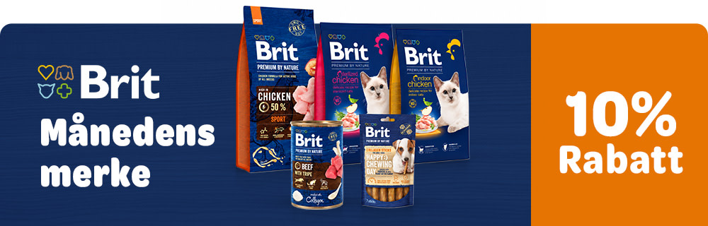Brit Premium